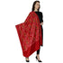 Women's Aari Embroidered Wool Shawl